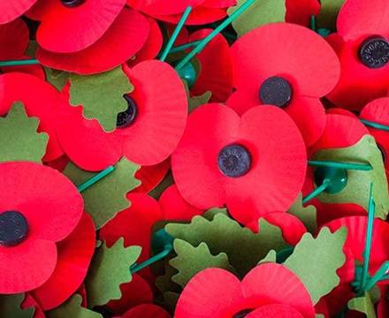 Poppies